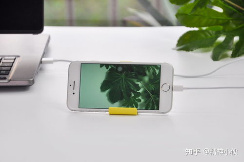 2021年蘋果產(chǎn)品選購指南 iPhone、iPad、iWatch、AirPods全方位解析及軟件設(shè)計開發(fā)推薦